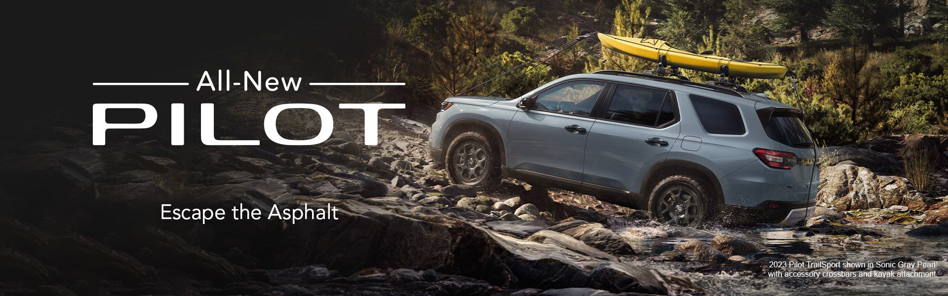 2023 Honda Pilot | Honda World SPLASH in Coos Bay OR